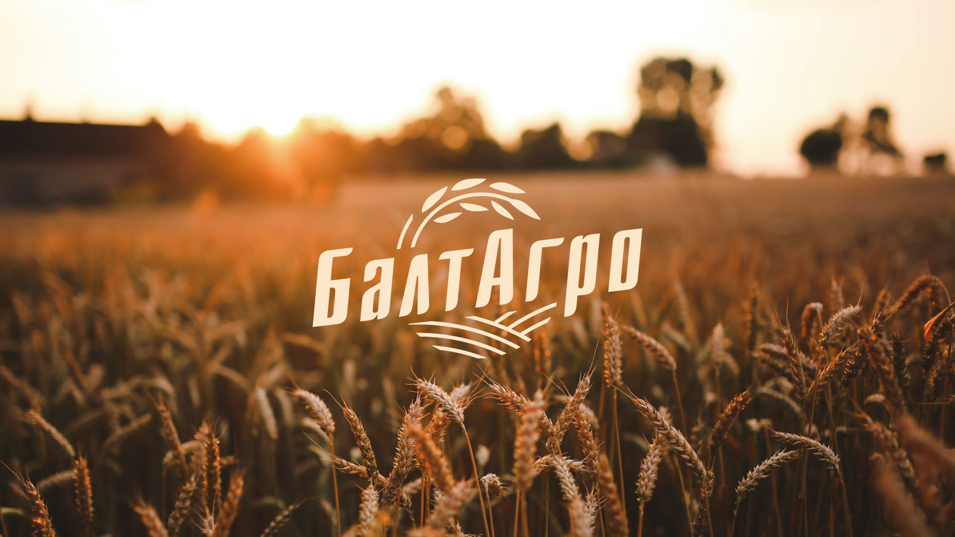 Логотип поставщика товаров для животноводства и сельского хозяйства БалтАгро