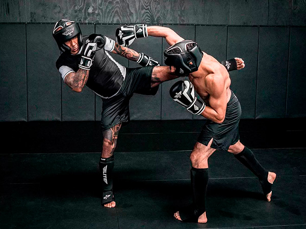 Логотипы и эмблемы боевых видов спорта: бокса, кикбоксинга, каратэ, тхэквондо, тайского бокса, дзюдо, самбо, мма 